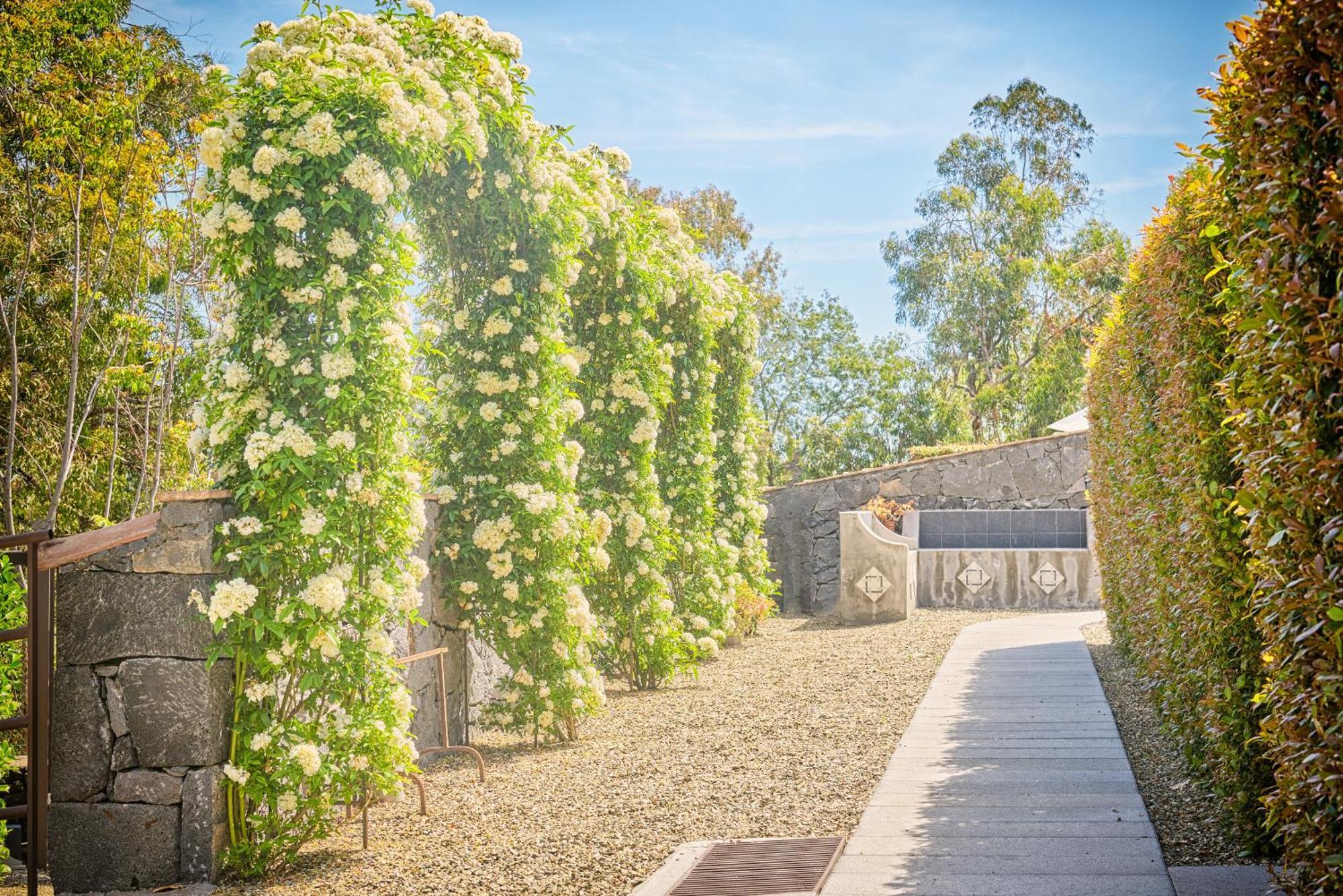 Il Casale Di Monacella Apartahotel